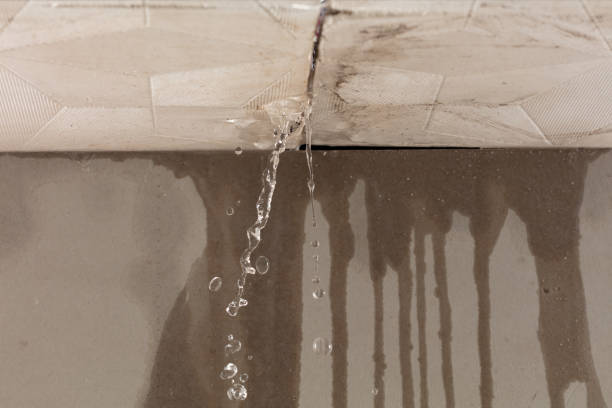 Professional Water Damage Inspection technician working in Glen Burnie, MD